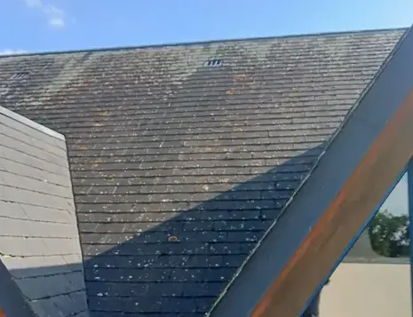 nettoyage des panneaux photovoltaïques Avranches-5