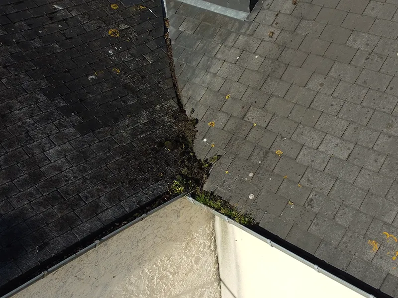 before-image
