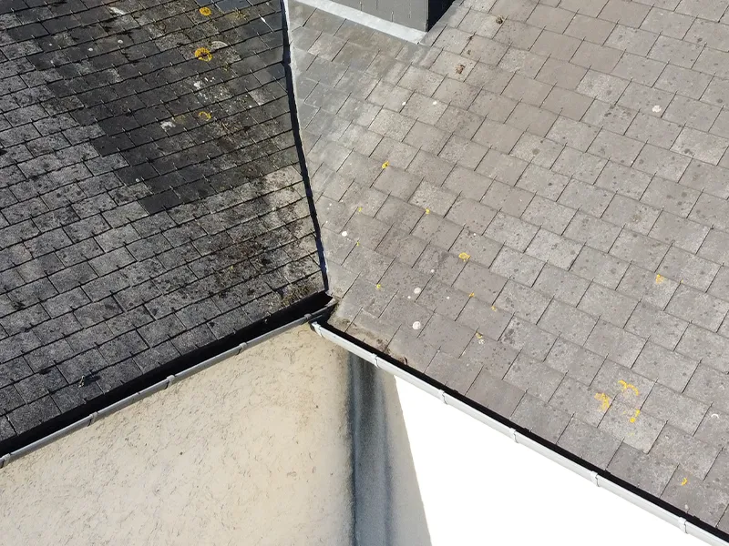 after-image