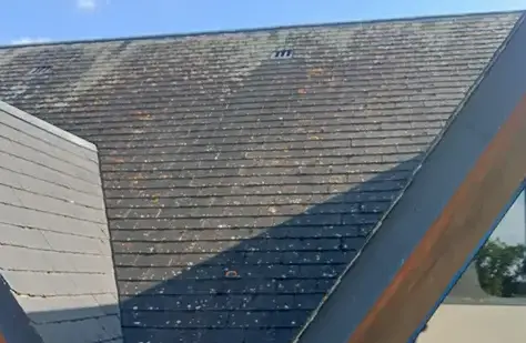 prise de vue aérienne drone  Louvigné-du-Désert-1