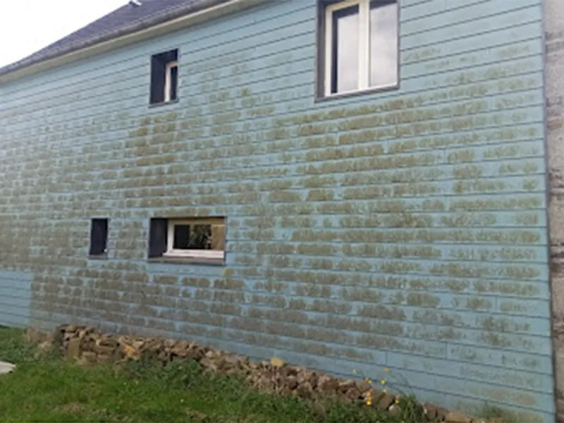 before-image